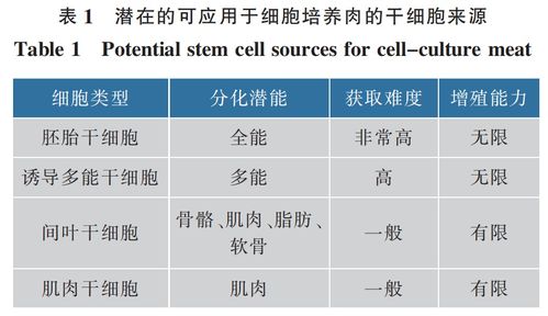从盘中餐到体内药 细胞培养技术的跨界融合与未来展望