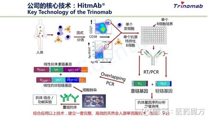 单克隆抗体药物的迭代 从实验室发现到临床应用的技术革命