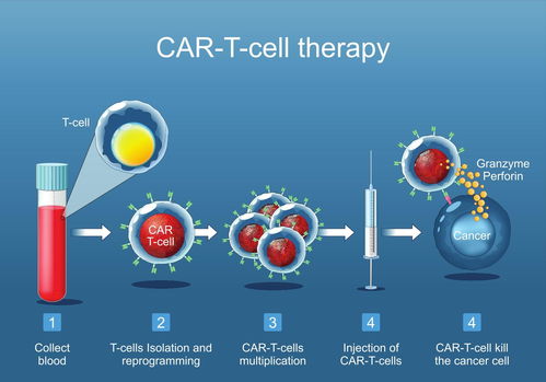 从单点突破到协同发展 省二医血液科细胞治疗中心的成立与展望