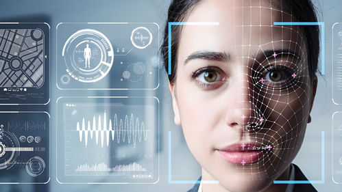 金融科技与细胞技术 以细颗粒度服务驱动研发与应用创新