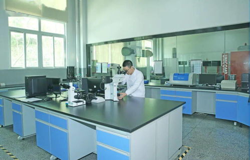 匠心智造 品质致胜│喜德盛细胞技术革新 只为您安心使用每一刻