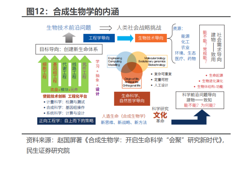华恒生物研究报告:合成生物学领军企业,生物基产品布局打开新空间